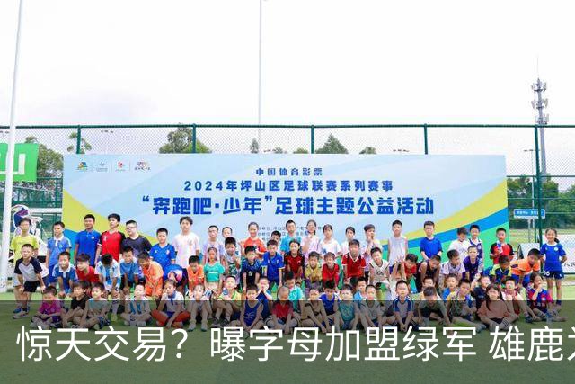 惊天交易？曝字母加盟绿军 雄鹿为布朗寻找第三方