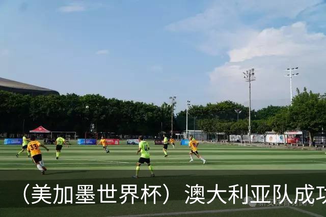 （美加墨世界杯）澳大利亚队成功突围 与美国队携手晋级淘汰赛